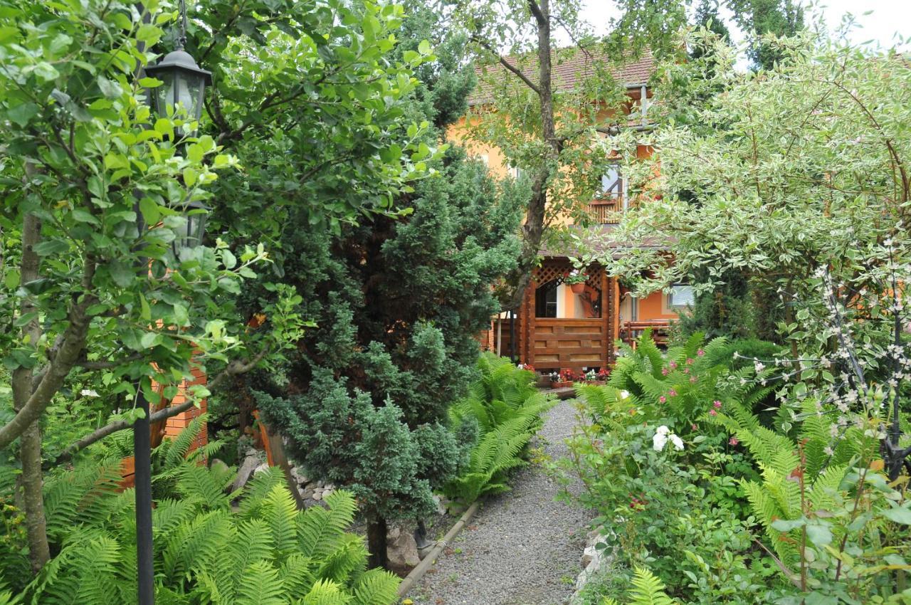 Pensiunea Ana Cristina Guest house