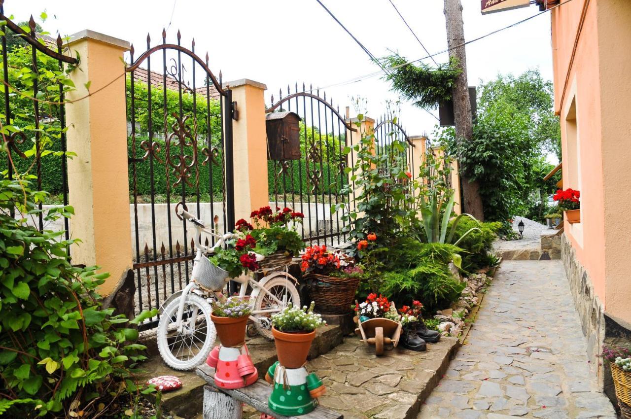 Pensiunea Ana Cristina Guest house