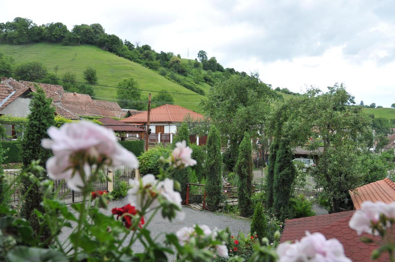 Pensiunea Ana Cristina Guest house