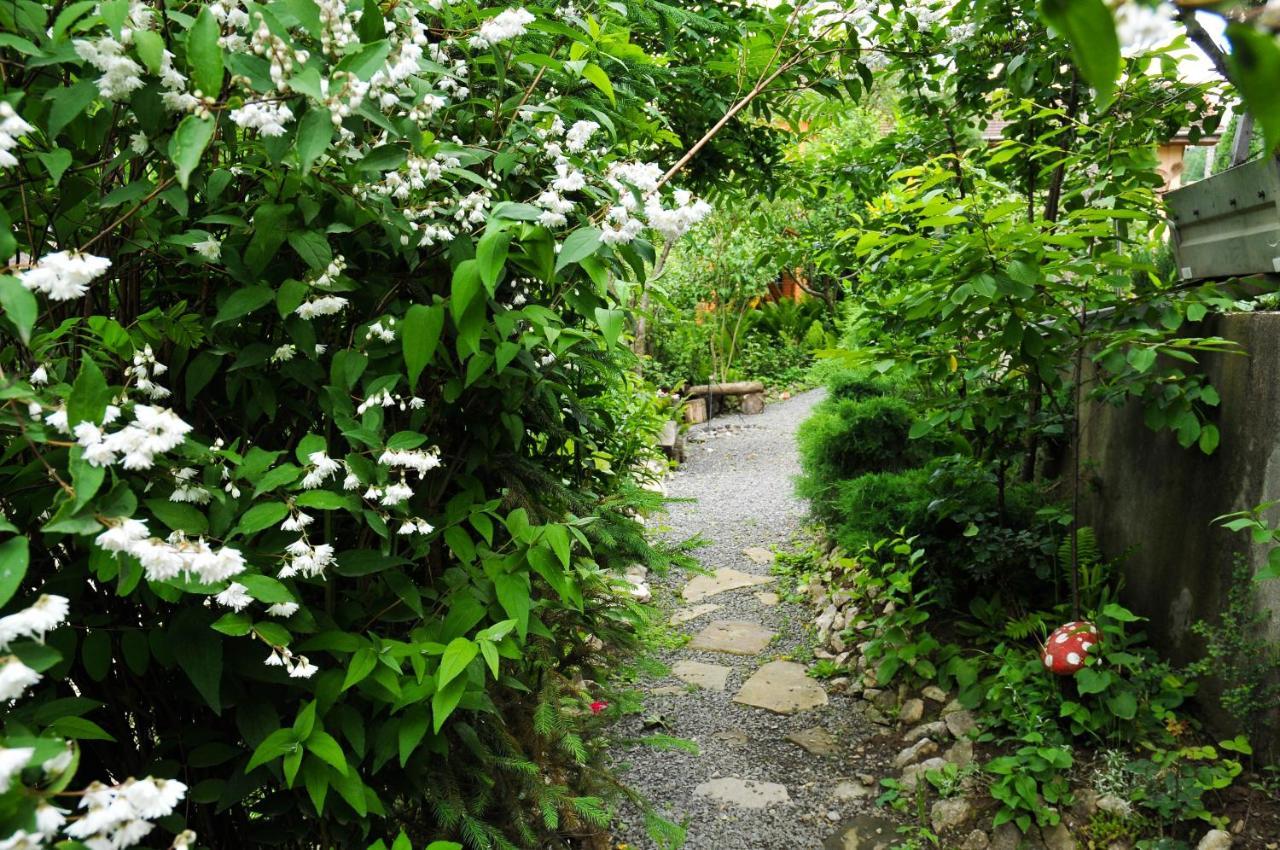 Pensiunea Ana Cristina Guest house